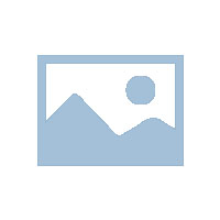 靚麗女人節(jié)，巾幗半邊天-慶?！叭藝?guó)際婦女節(jié)”